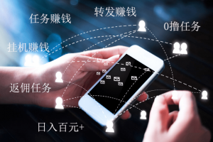 探式达:小白兼职操作的任务（日入百元+）插图