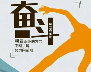 探式达副业深度解析：可靠性、专业性及收费机制全解读插图